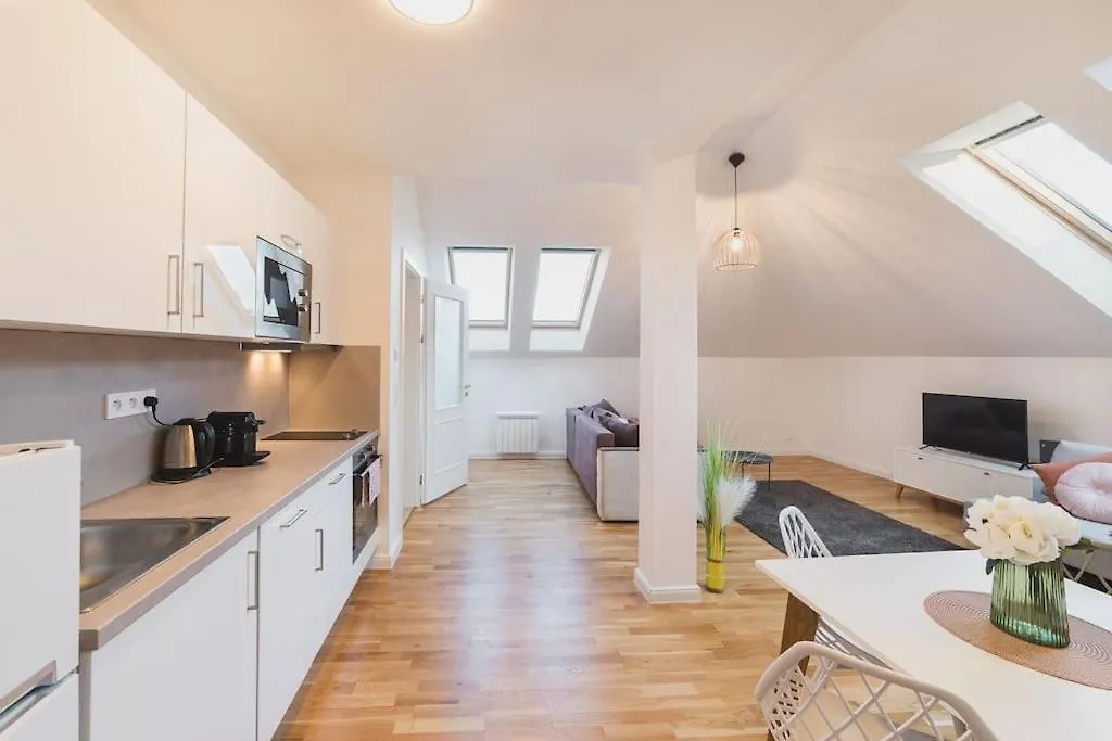 Royal Loft Apartment 110M2 Praha Česká republika